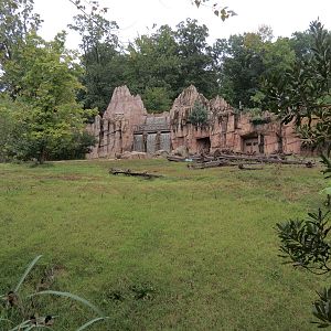 Teton Trek - Grizzly Bear Exhibit
