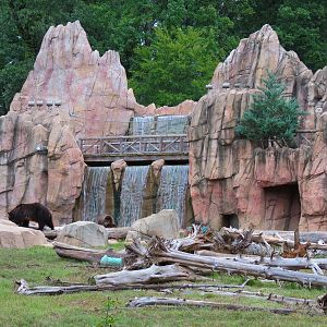 Teton Trek - Grizzly Bear Exhibit