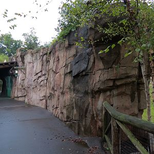 Teton Trek - Grizzly Bear Exhibit Path