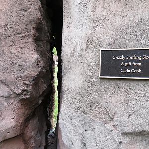 Teton Trek - Grizzly Bear Exhibit