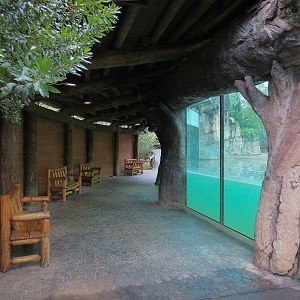 Teton Trek - Grizzly Bear Exhibit