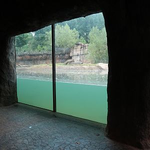 Teton Trek - Grizzly Bear Exhibit