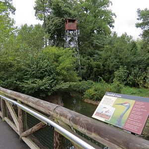 Teton Trek - Sandhill Crane and Waterfowl Exhibit