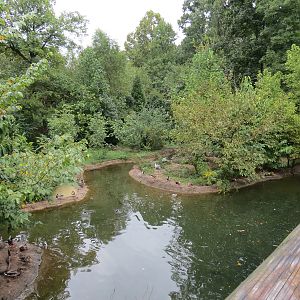 Teton Trek - Sandhill Crane and Waterfowl Exhibit