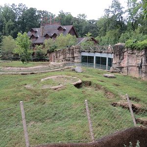 Teton Trek - Grizzly Bear Exhibit