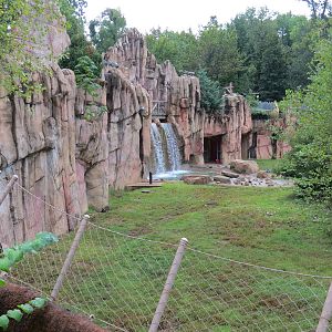 Teton Trek - Grizzly Bear Exhibit