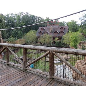 Teton Trek - Grizzly Bear Exhibit