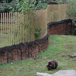 Teton Trek - Grizzly Bear Exhibit