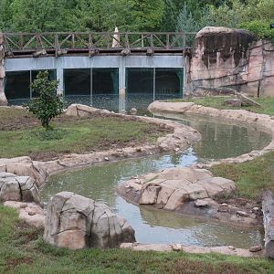 Teton Trek - Grizzly Bear Exhibit