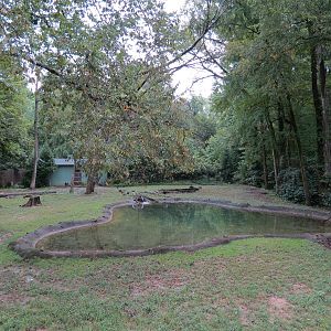 Teton Trek - Elk Exhibit