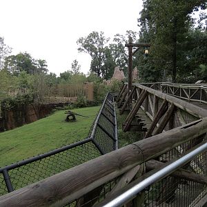 Teton Trek - Gray Wolf Exhibit