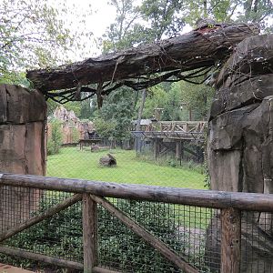 Teton Trek - Gray Wolf Exhibit
