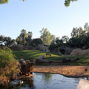 Mixed African plains exhibit