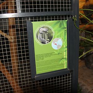 Sign for Sciurus variegatoides rigidus (animals not seen)