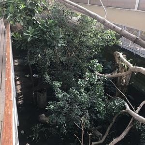 America Tropicana 171018