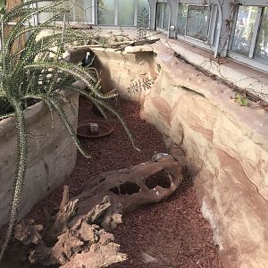 America Tropicana - Big hairy armadillo enclosure 171018