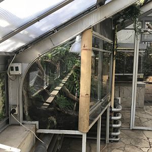 America Tropicana - Terraria 171018