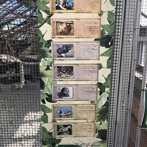 America Tropicana - inhabitants of large exhibit within one side section 171018