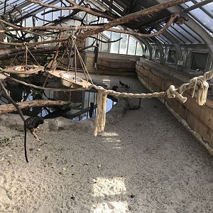 America Tropicana - Larger exhibit within one side section 171018