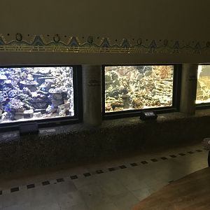 Aquarium 171018