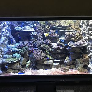 Aquarium tank 171018