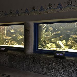 Aquarium tanks 171018