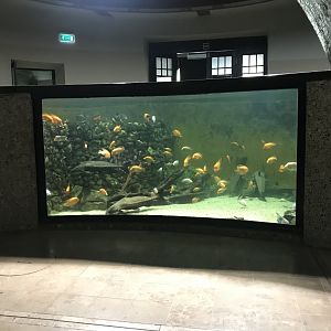 Aquarium tank 171018
