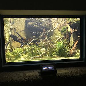 Aquarium tank 171018