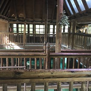 Crocodile House interior 171018