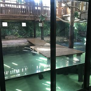 Crocodile House interior 171018