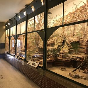 Australia House exhibit 171018