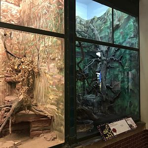 Australia House exhibit 171018