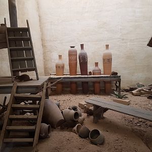 Enclosure Dwarf mongoose