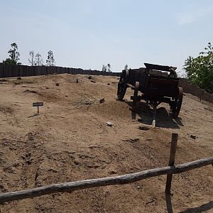 Prairie dog walk-through enclosure