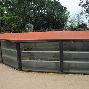 Dwarf Mongoose Enclosure at Doué-la-Fontaine, 15/06/18