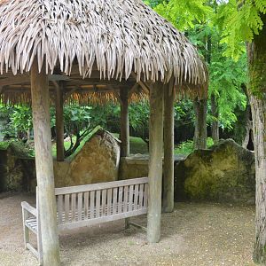 Giant Otter Enclosure at Doué-la-Fontaine, 15/06/18