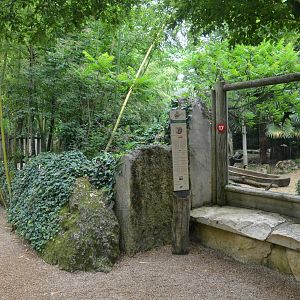Giant Otter Enclosure at Doué-la-Fontaine, 15/06/18