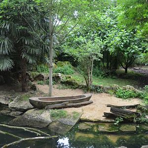 Giant Otter Enclosure at Doué-la-Fontaine, 15/06/18