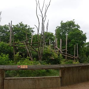 Spectacled Bear and Squirrel Monkey Enclosure at Doué-la-Fontaine, 15/06/18