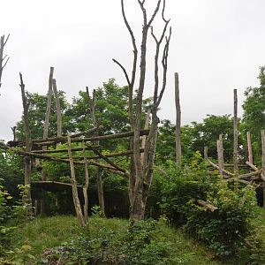 Spectacled Bear and Squirrel Monkey Enclosure at Doué-la-Fontaine, 15/06/18