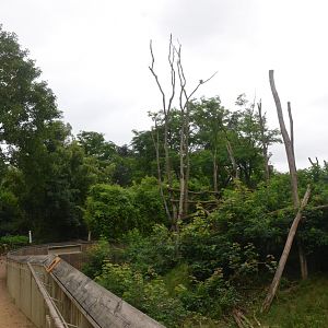 Spectacled Bear and Squirrel Monkey Enclosure at Doué-la-Fontaine, 15/06/18
