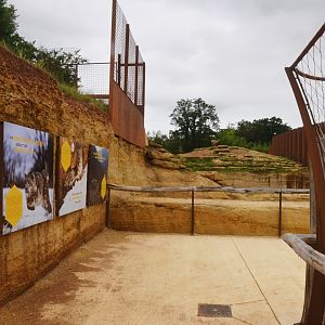 Snow Leopard and Markhor Upper Viewing Areas at Doué-la-Fontaine, 15/06/18