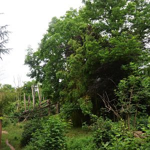 Spectacled Bear and Squirrel Monkey Enclosure at Doué-la-Fontaine, 15/06/18
