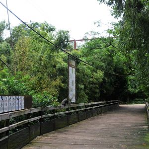 Okapi Sanctuary Aviary at Doué-la-Fontaine, 15/06/18