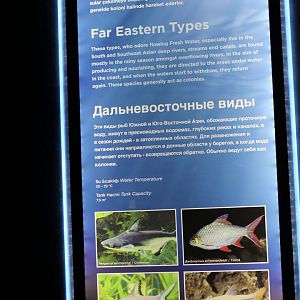 Sign "Far East" aquarium