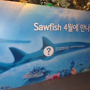 sawfish exhibit close
