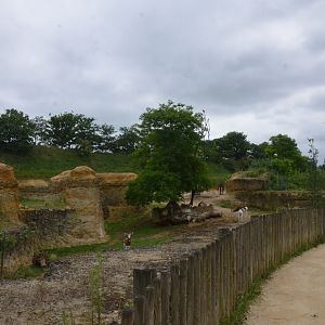Dama and Mhorr Gazelle Enclosure (Part of Black Rhino Complex) at Doué-la-Fontaine, 15/06/18