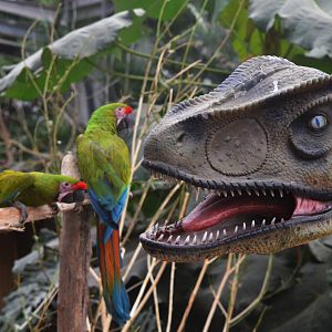 Assorted Dinosaurs at Biotropica, 16/06/18