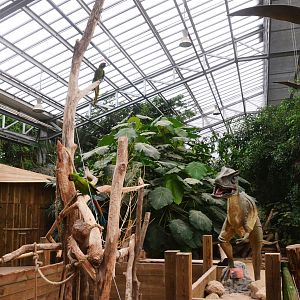 Tortoise and Macaw Enclosures at Biotropica, 16/06/18