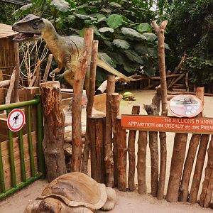 Tortoise Enclosure at Biotropica, 16/06/18